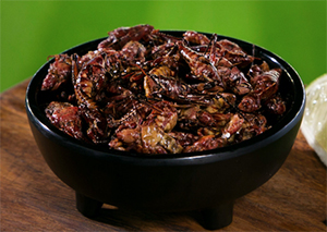 Toasted Grasshoppers